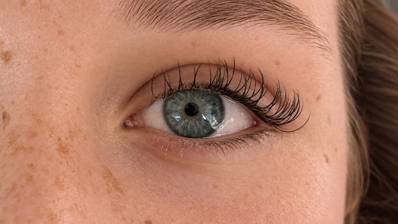 Classic Lash Infills lash extensions close-up